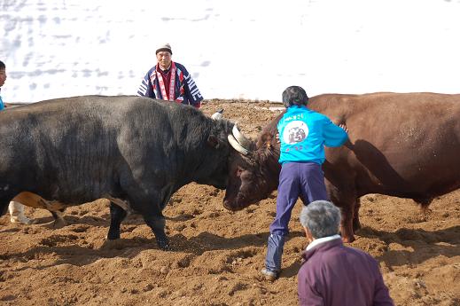 火まつり・フェニックス浜街道vs若闘将