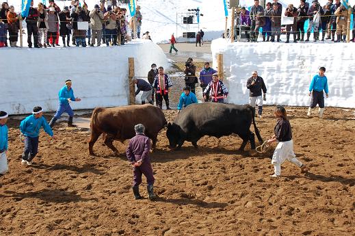 火まつり・優武王vs陽都大王