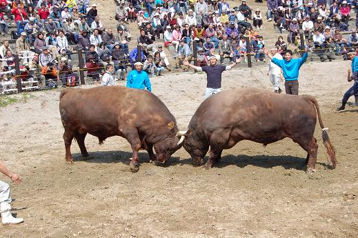 フェニックスvs和泉屋