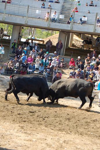 新宅 vs 支援ありがとう号