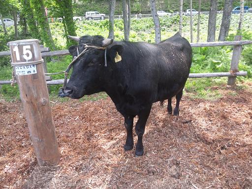 じぇじぇじぇ号