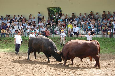 08.08.15 良虎①・繁蔵