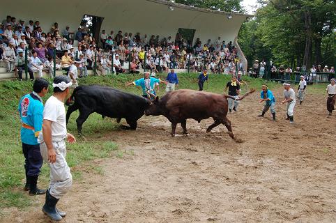 08.08.15 高野・孫兵工（１）