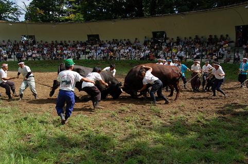08.08.15 良虎①・繁蔵（２）