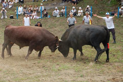 08.09.06 充号・魚沼号