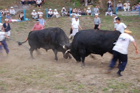 08.09.06 三五兵工・金重号②