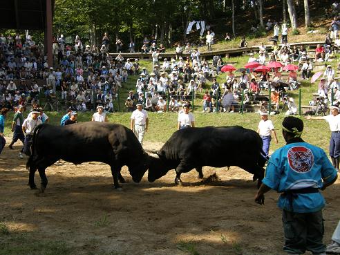 08.09.14 大勝力 vs 庄八