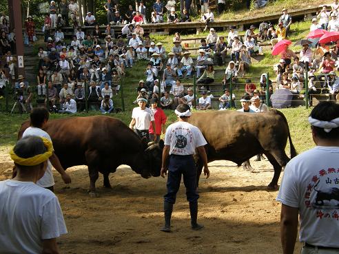 08.09.14 良虎② vs 繁蔵